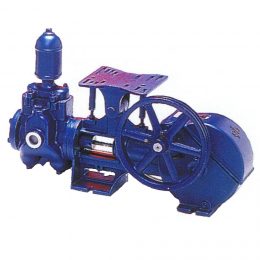500 Gallon Piston Pump
