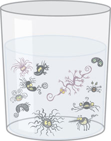Treat water for bugs and bacteria!