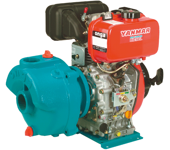Onga Model 384 Pump