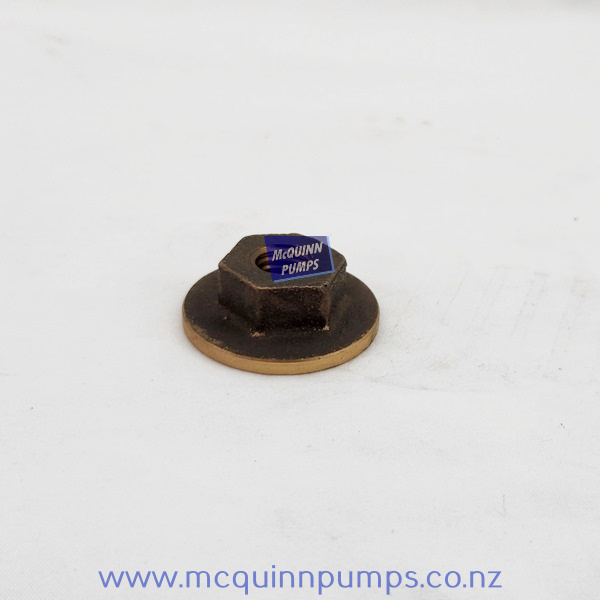 PLUNGER END NUT  6087/38 - Per Each