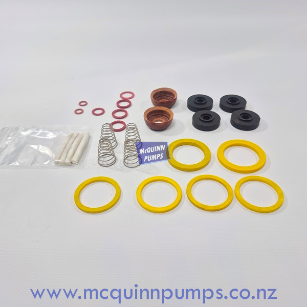 Renown 400 Service Kit - Leather Cups - Per Kit